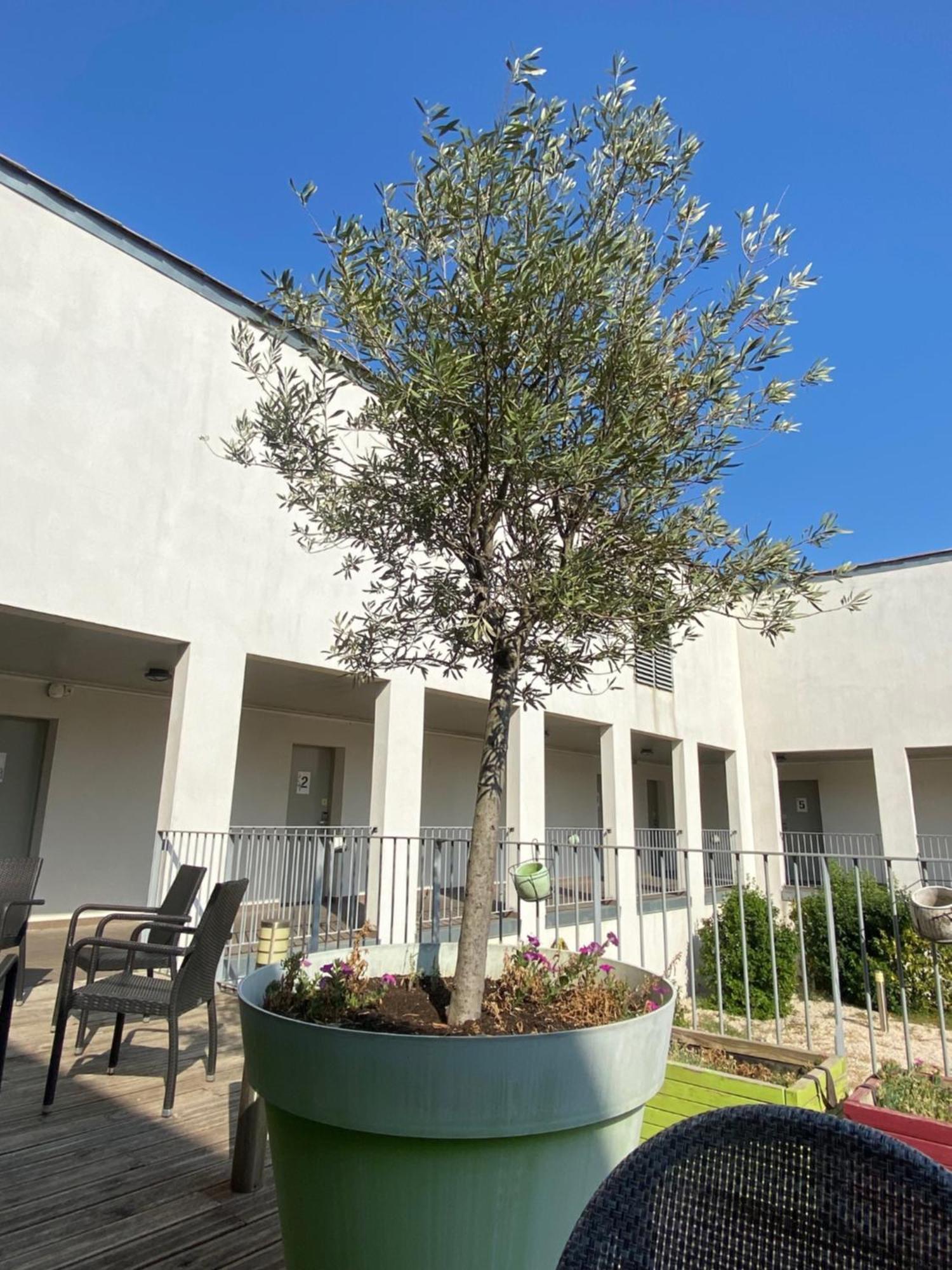 Hotel Douce France Cuxac-dʼAude Exteriér fotografie